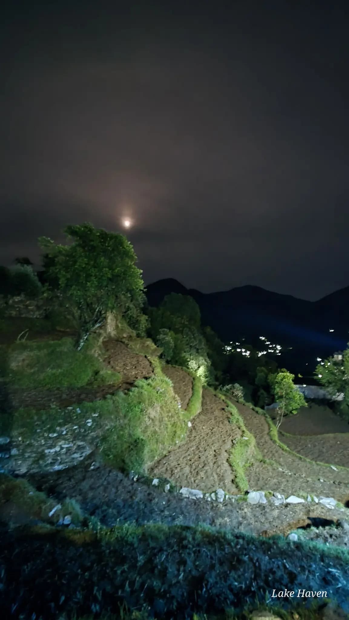 Moonlit night over terraced fields and distant village lights near Sari Village, Uttarakhand