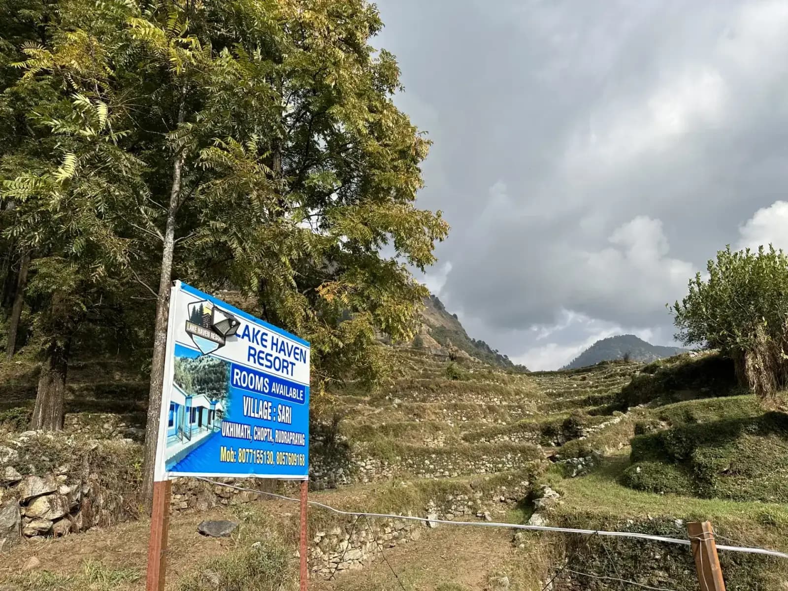 Terraced Himalayan landscape near Lake Haven Resort on the route toward Chopta